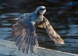 杒?屝dnぇ緸^*eN朾蒓授厑5cjh爼L鹎F貔I?v獩q1A 