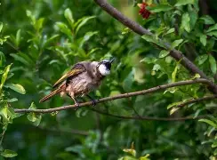 杒?屝dnぇ緸^*eN朾蒓授厑5cjh爼L鹎F貔I?v獩q1A 